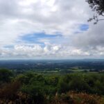 View over Cranleigh and South Downs