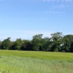 Cranleigh's Green Fields say No to housing dump