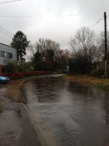Alfold Road near West Cranleigh Nurseries 23 November 2014