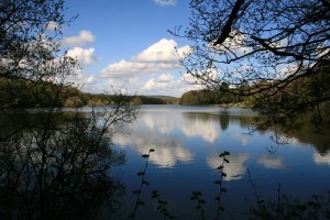 Picture of Vachery Pond Cranleigh