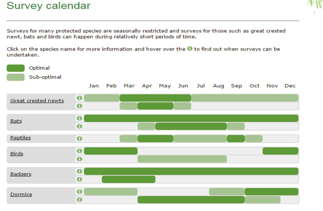 Ecosulis website diagram re bat swarming activity