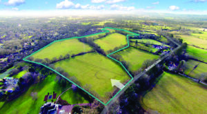 beautiful green fields Cranleigh