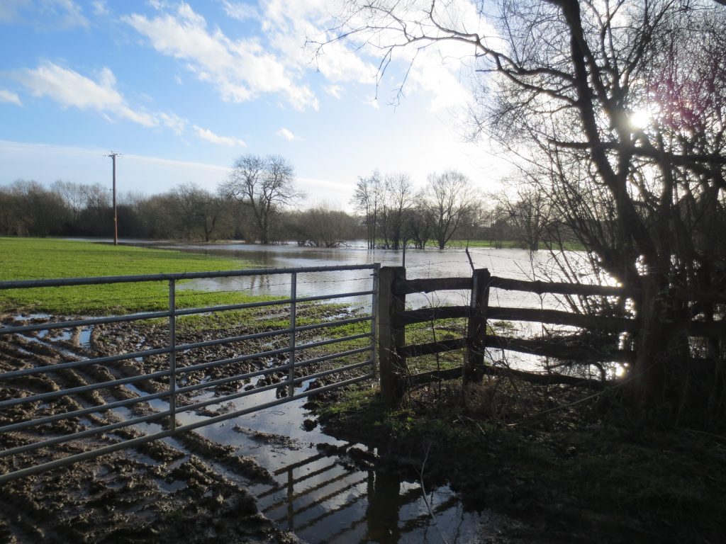 thakeham-homes-site-jan-2015-1