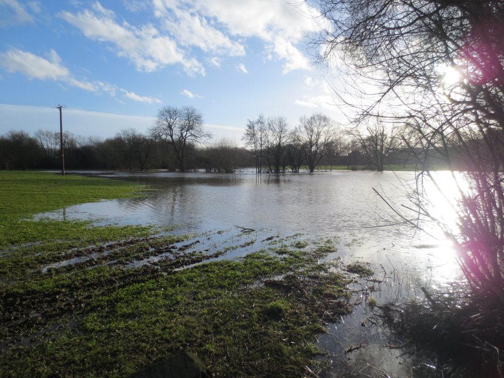 thakeham-homes-site-jan-2015-2