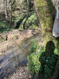 Cranleigh's Waterways
